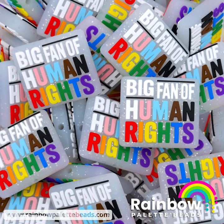 BIG Fan of Human Rights Exclusive Silicone Focal Beads Progress Pride Flag Colors Beads