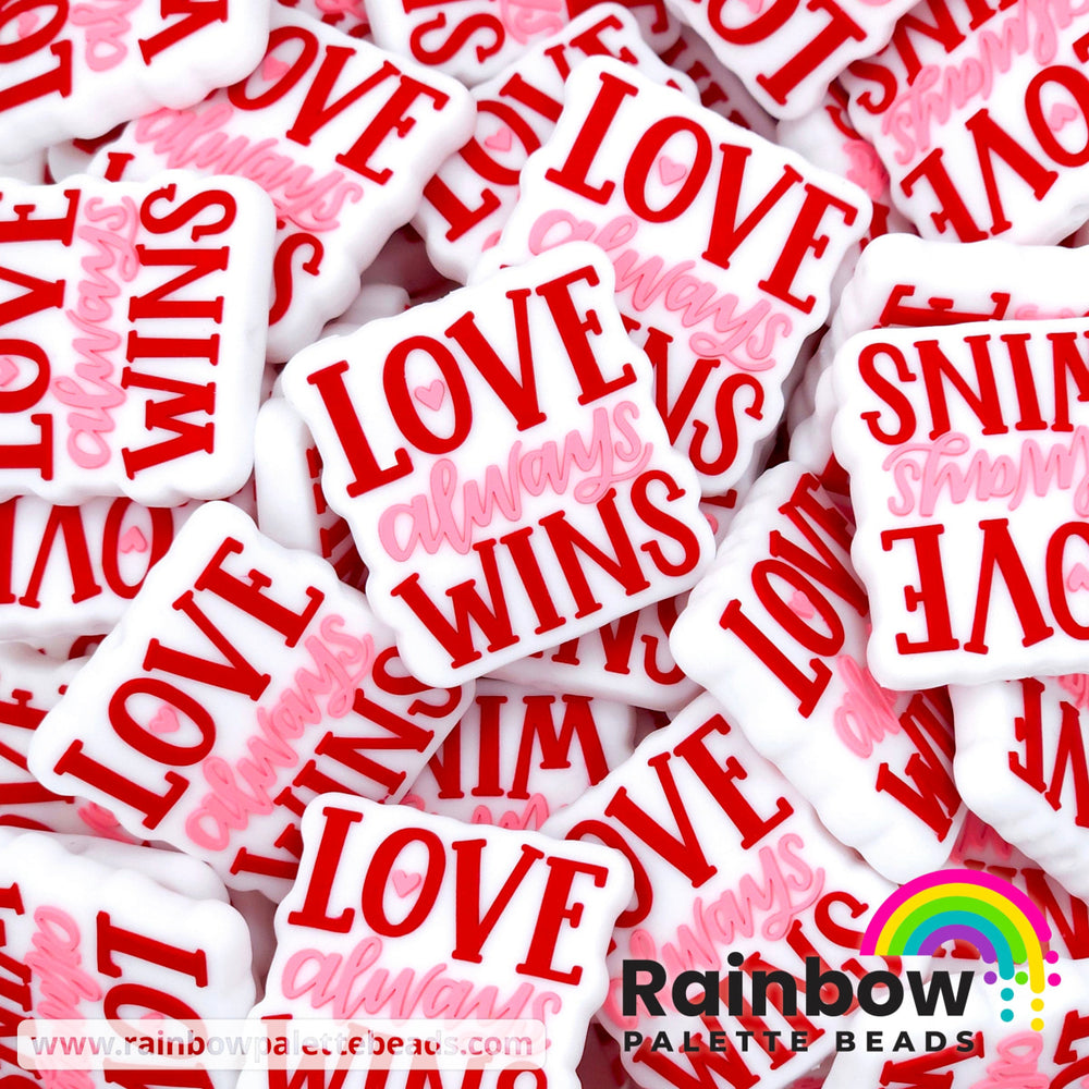 Love Always Wins Exclusive Silicone Focal Bead Red/Pink Beads